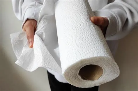 Do Paper Towels Have Plastic in Them? And Why Do They Feel So Suspiciously Soft?