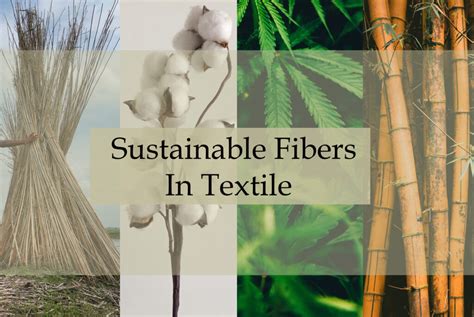  Hemp Lifesaving Textile Fiber for Sustainable Future?