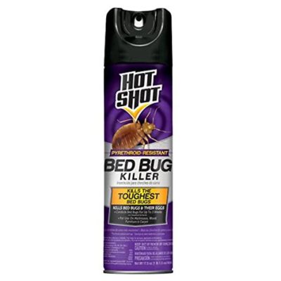 How Long Does Hot Shot Bed Bug Spray Last: A Deep Dive into Its Efficacy and Beyond