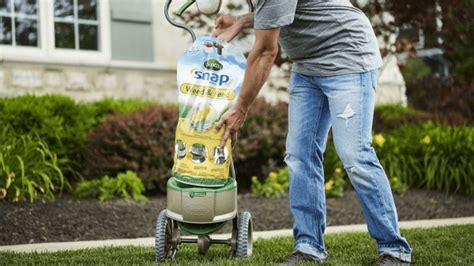 How to Spread Weed and Feed: A Philosophical Inquiry into Lawn Care and Existentialism