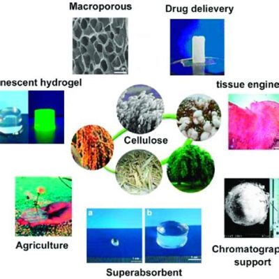  Nanocellulose Kullanımı ve Üretimi: Geleceğin Malzemesi Nasıl Oluşuyor?