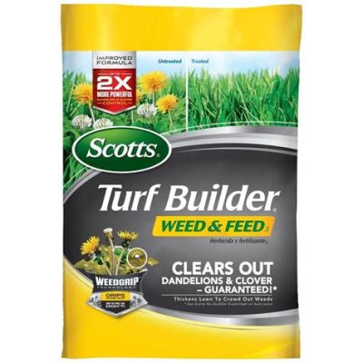 scotts weed and feed how long before rain: A Symphony of Chaos and Order