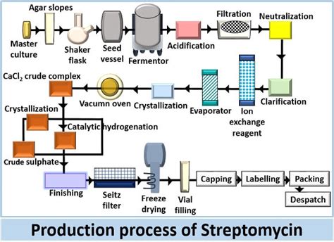 Streptomycin Sürekli Üretimi ve Biyoteknolojideki Kullanımı!