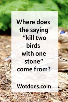 What Does Kill Two Birds with One Stone Mean? And Why Do We Still Use Such Outdated Phrases?