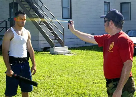 What's the Difference Between Pepper Spray and Mace? And Why Do Squirrels Always Seem to Know When You're About to Use It?